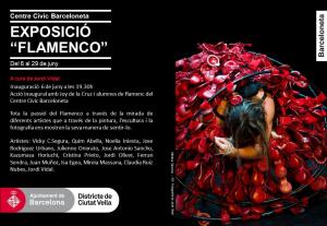 Exposicio Flamenco